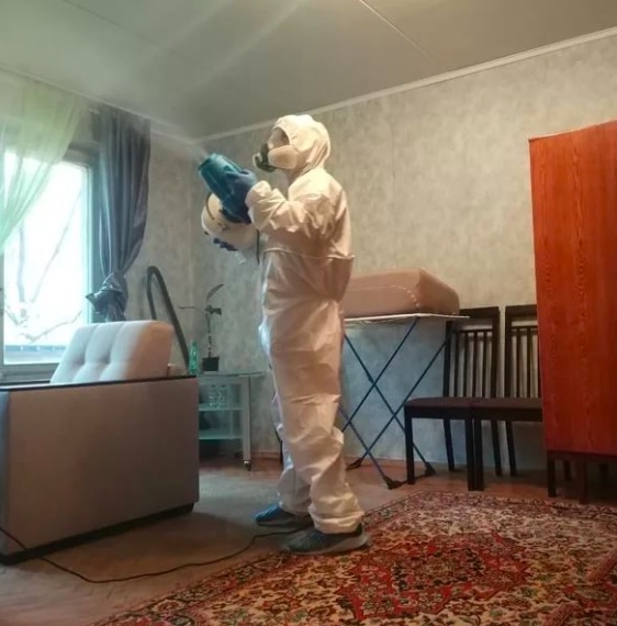 дезинсекция квартиры в Шарыпово
